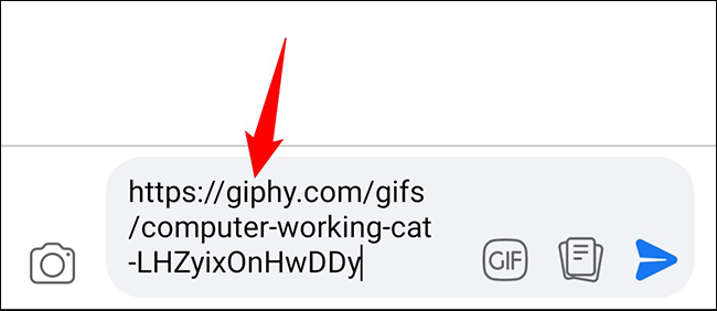 Cole o URL de um GIF.