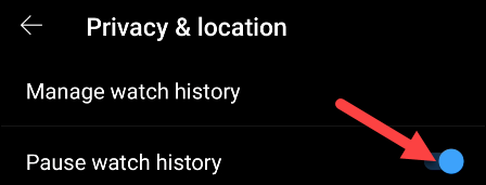 Ative "Pausar histórico de exibição".