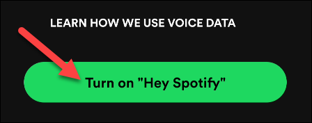 Selecione "Ativar Hey Spotify".