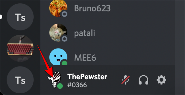 Clique na sua foto de perfil do Discord no canto inferior esquerdo.