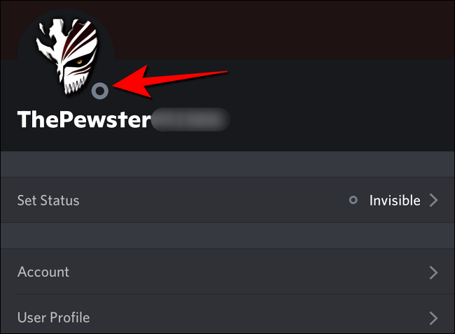O círculo cinza ao lado da imagem de exibição indica o modo offline ou invisível no Discord no celular.