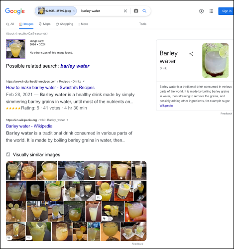 Resultados da pesquisa na Pesquisa de Imagens do Google no iPhone