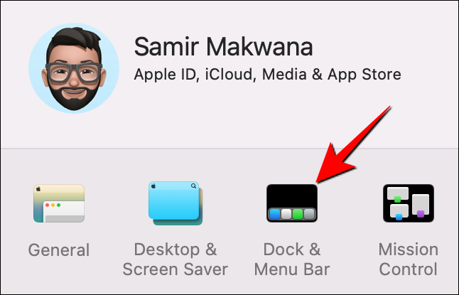 Selecione "Dock & Menu Bar" na janela "Preferências do Sistema".