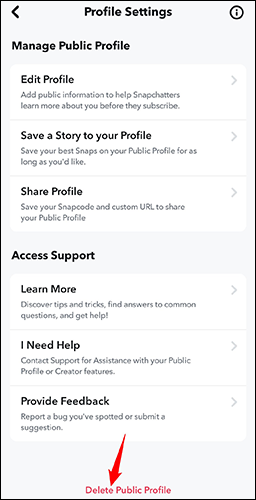 Selecione "Excluir perfil público" na parte inferior.
