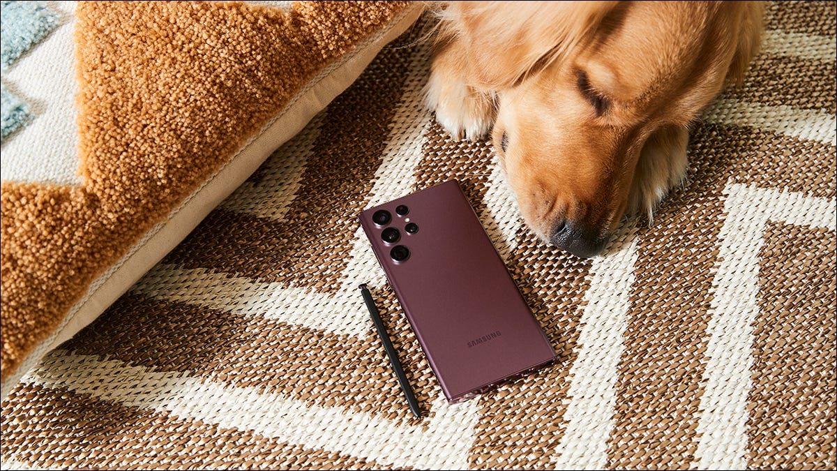 Samsung Galaxy S22 Ultra e um cachorro