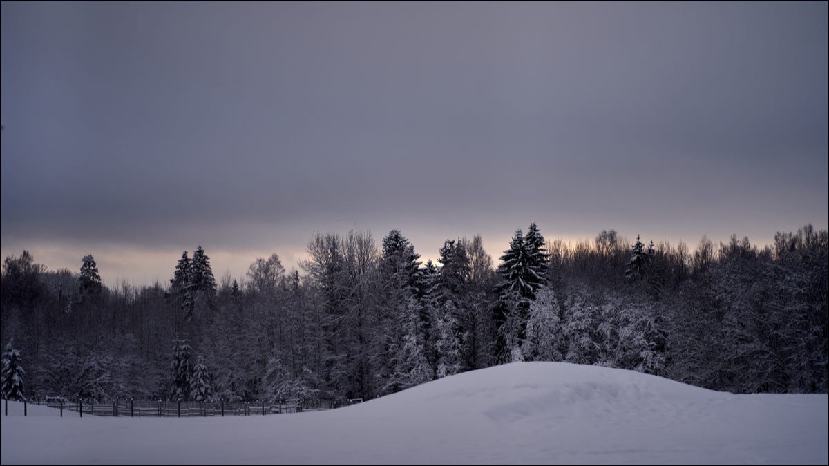 Paisagem de inverno