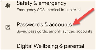 Toque na seção "Senhas e contas".