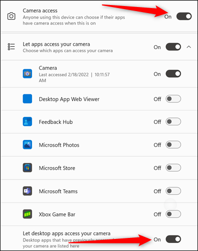 Clique nas opções para "Acesso à câmera" e "Permitir que aplicativos de desktop acessem sua câmera".