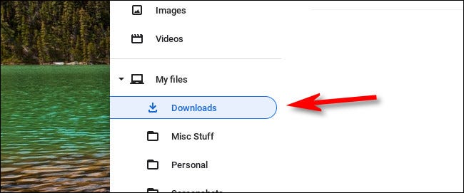 No aplicativo Arquivos do Chromebook, selecione "Downloads" na barra lateral.