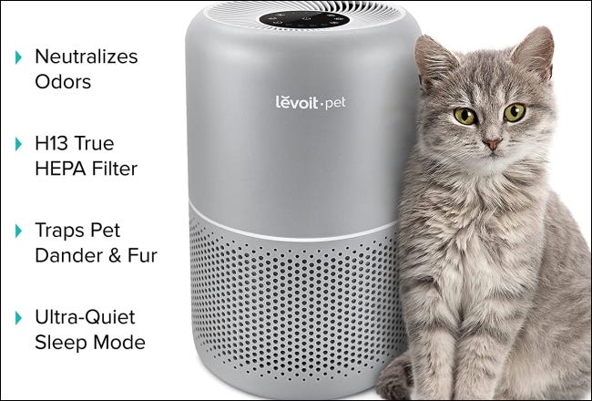 Levoit Pet purificador e gato