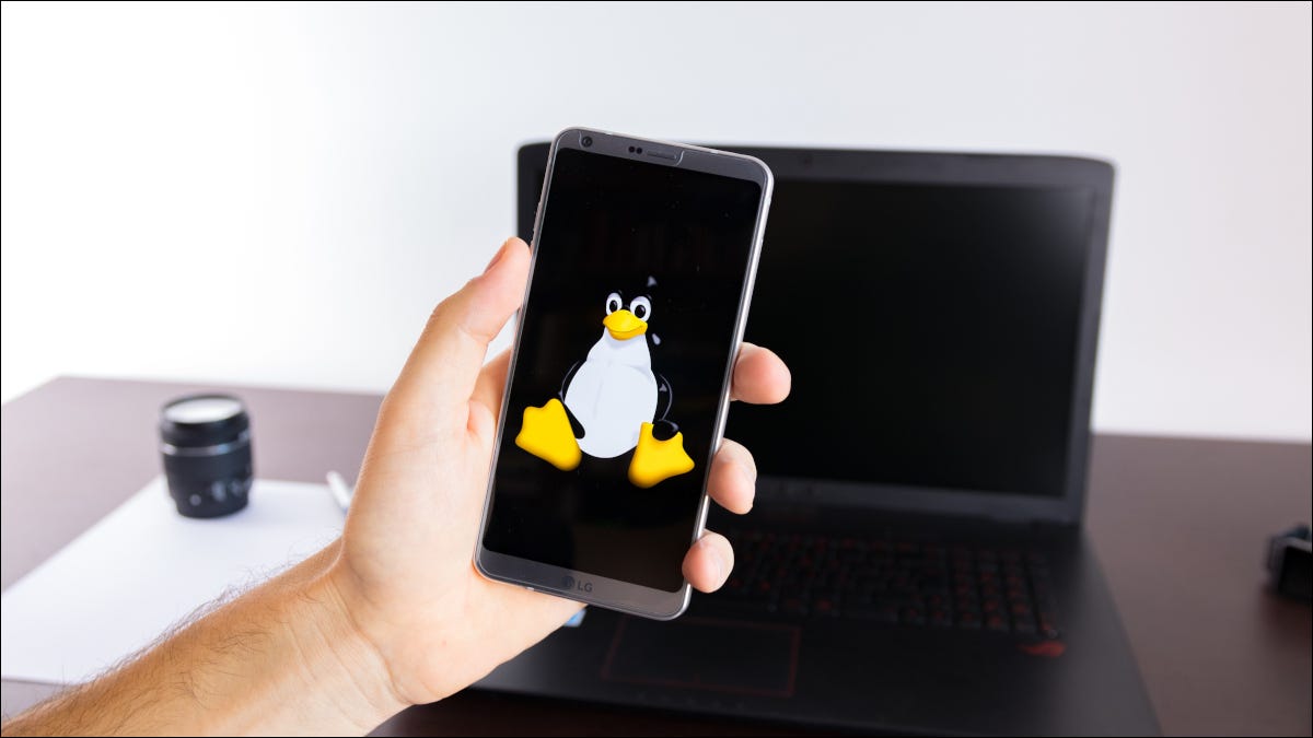 Person holding up a smartphone showing the Linux "Tux" mascot.