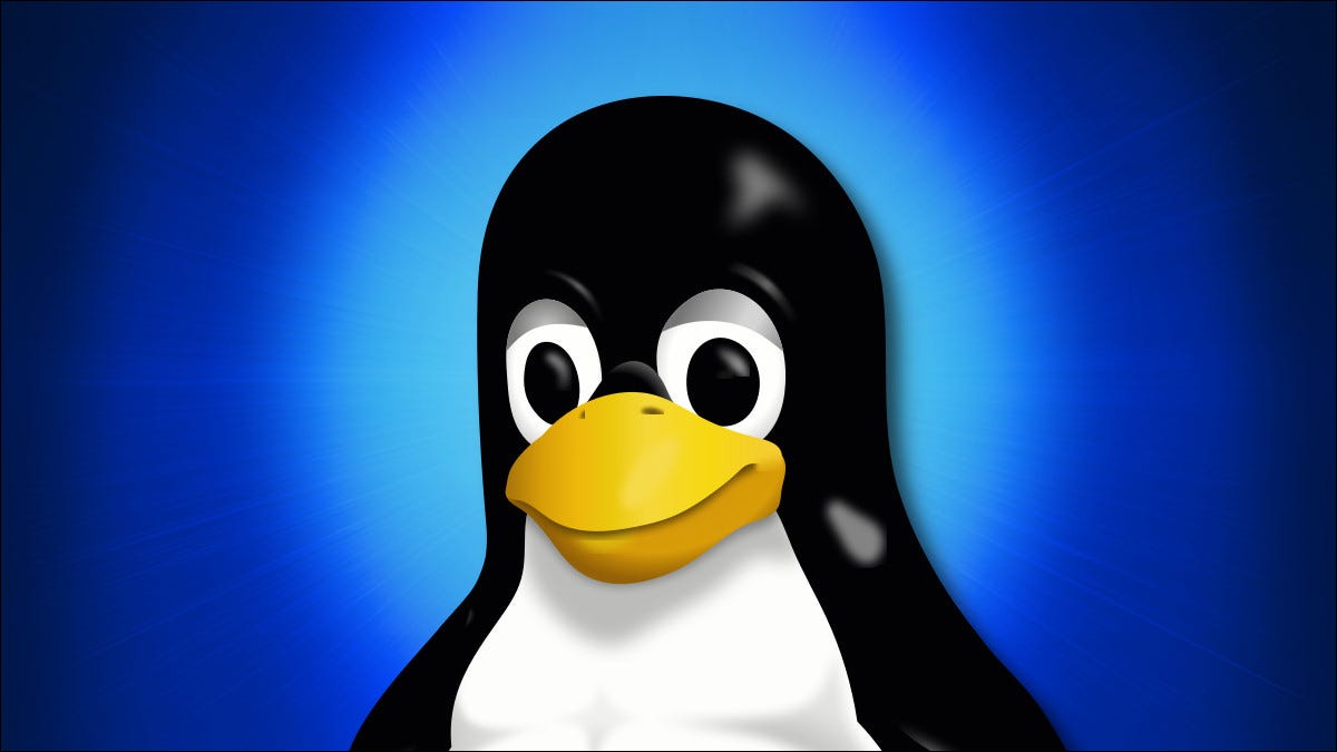 Linux Penguin Mascot Tux de perto
