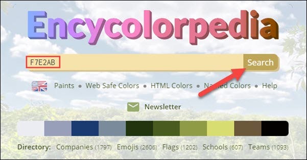 Digite o código hexadecimal e clique em “Pesquisar”.