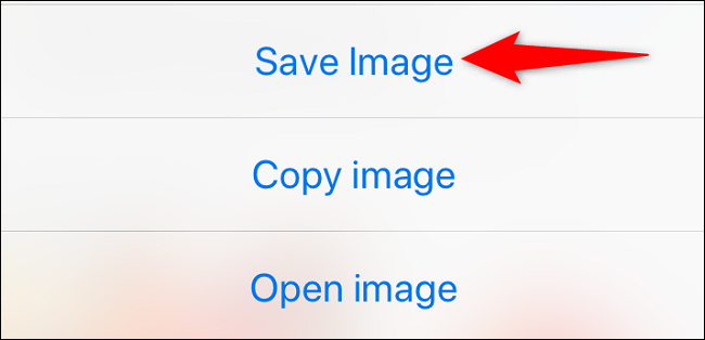 Escolha "Salvar imagem" no menu.
