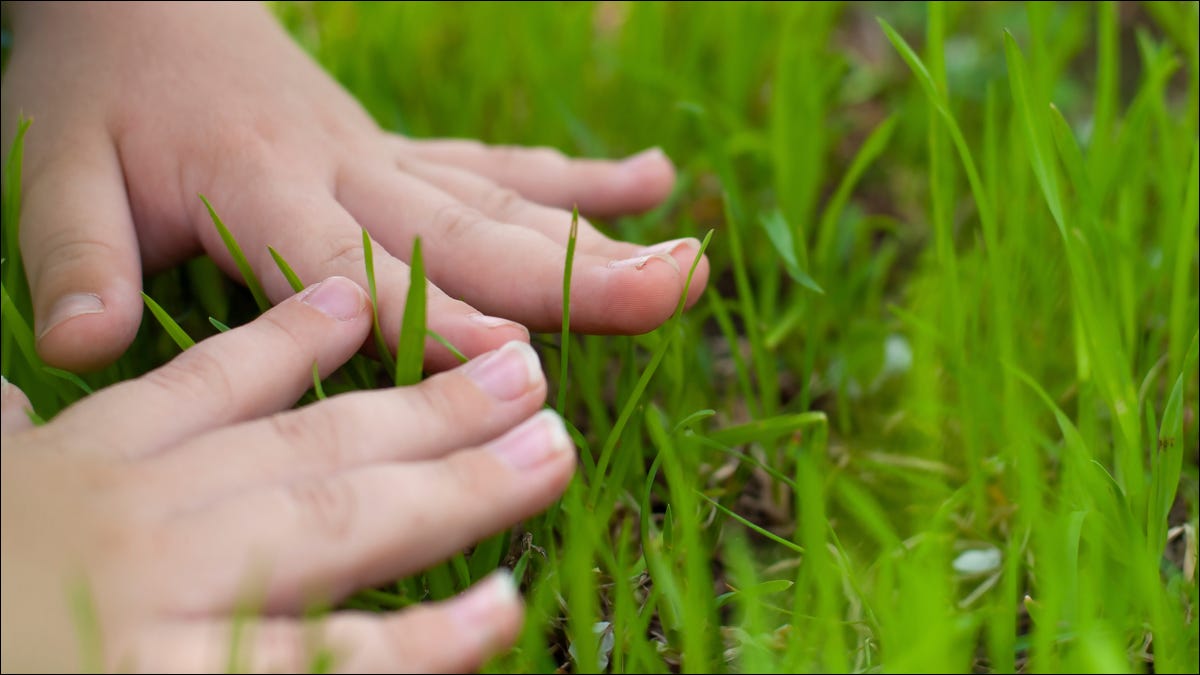 Closeup das mãos de uma pessoa tocando a grama.