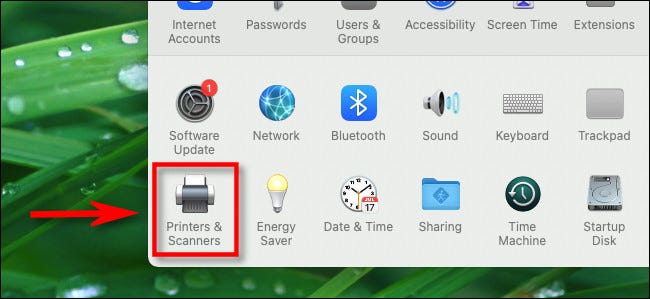 Em Preferências do Sistema no Mac, clique em "Impressoras e Scanners".