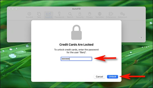 Digite a senha da sua conta do Mac para desbloquear cartões de crédito salvos no Safari.