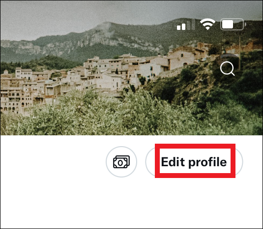 Página de perfil aberta com "Editar perfil" realçado.