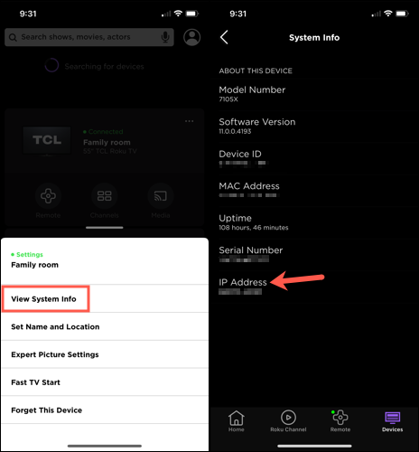 Endereço IP para um dispositivo Roku no aplicativo móvel