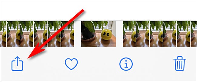 Toque no botão "Compartilhar" em Fotos no iPhone.