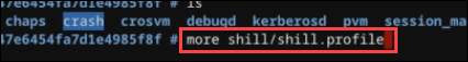 Digite o comando "mais shill/shill.profile".