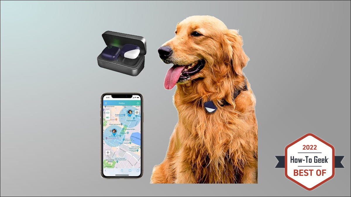 Petfon GPS Tracker em fundo cinza