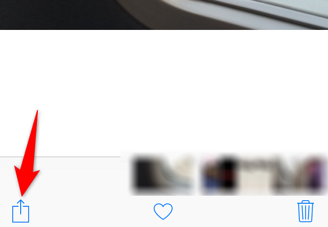 Selecione o ícone de compartilhamento no canto inferior esquerdo.