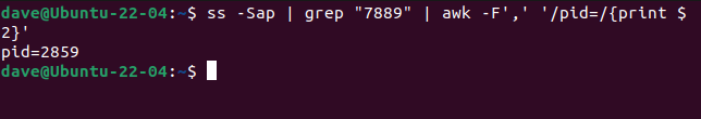 Usando pipes para conectar ss, grep e awk para extrair a string PID