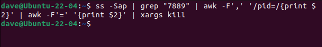 Usando pipes com ss, grep, awk e xargs para encerrar um processo de soquete SCTP