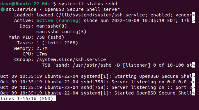 Os detalhes de um único serviço exibido pelo systemctl