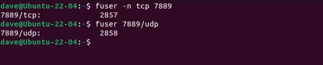 Usando o comando fuser para excluir os processos usando soquetes TCP e UDP