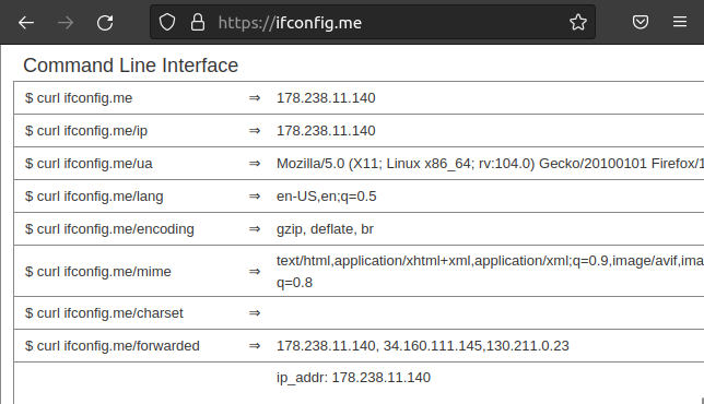 O site ifconfig.me exibindo um conjunto de comandos cURL