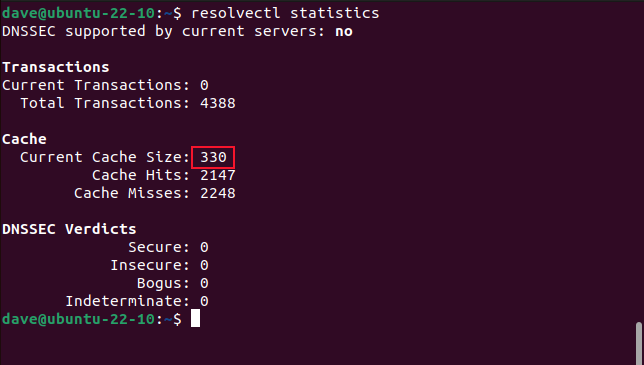 usando o comando resolvectl para visualizar estatísticas de cache DNS