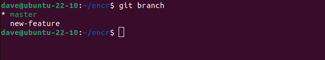 Usando o comando Git branch para listar as ramificações no repositório git