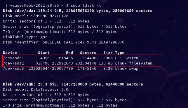 A saída do comando sudo fdisk -l com as partições de inicialização e raiz destacadas