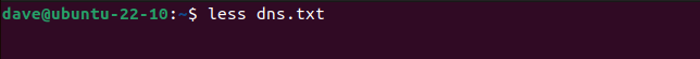 Visualizando o arquivo dns.txt com o comando less