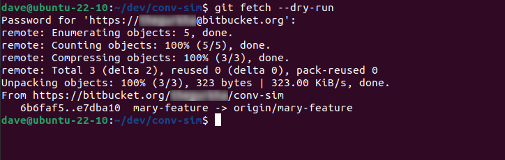 Usando a opção --dry-run para ver as alterações que o comando fetch recuperaria