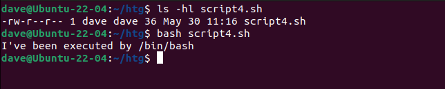 Executando um script que não possui a permissão de arquivo executável definida e não possui um shebang