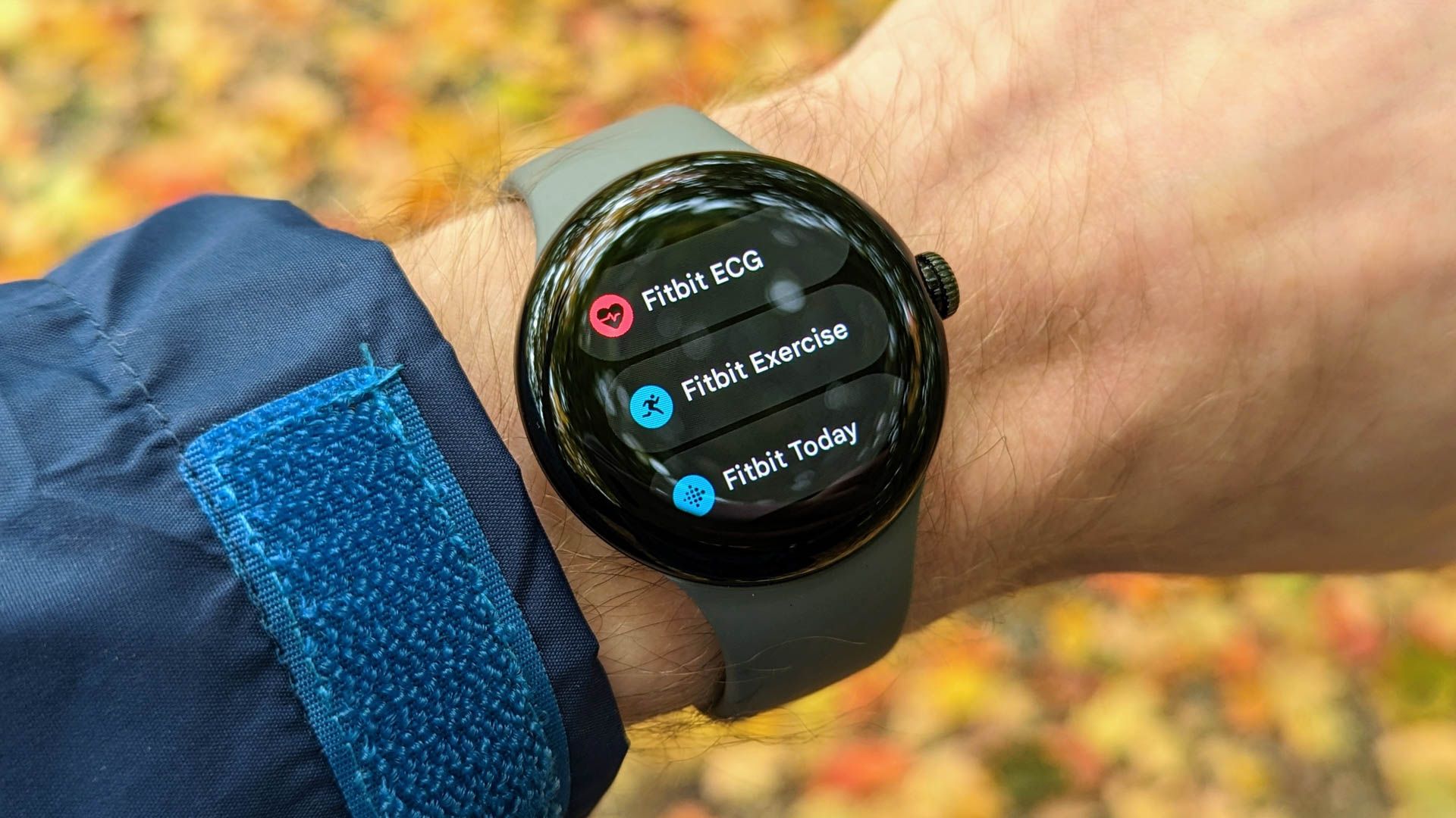 Aplicativos Fitbit no Google Pixel Watch