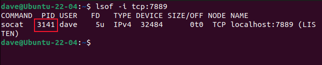 Usando lsof para mostrar os detalhes de um processo usando uma porta e protocolo específicos