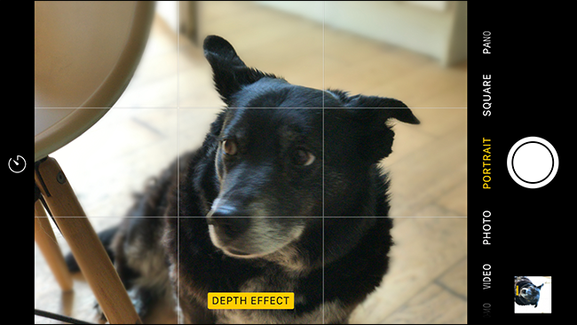 Efeito de profundidade no aplicativo Câmera do iPhone.