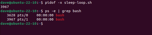 Encontrando o PID de um shell bash executando um script de shell