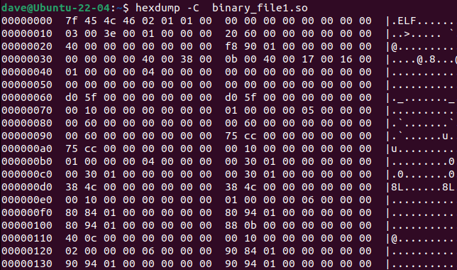 A saída canônica hexdump de um arquivo binário