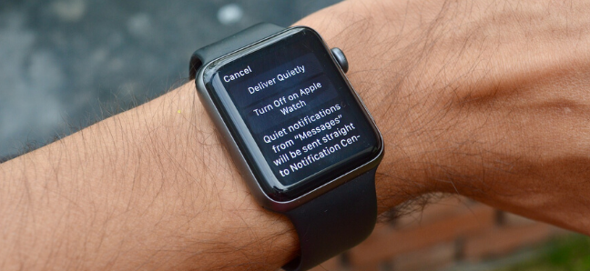 Tela de gerenciamento de notificações de aplicativos no Apple Watch