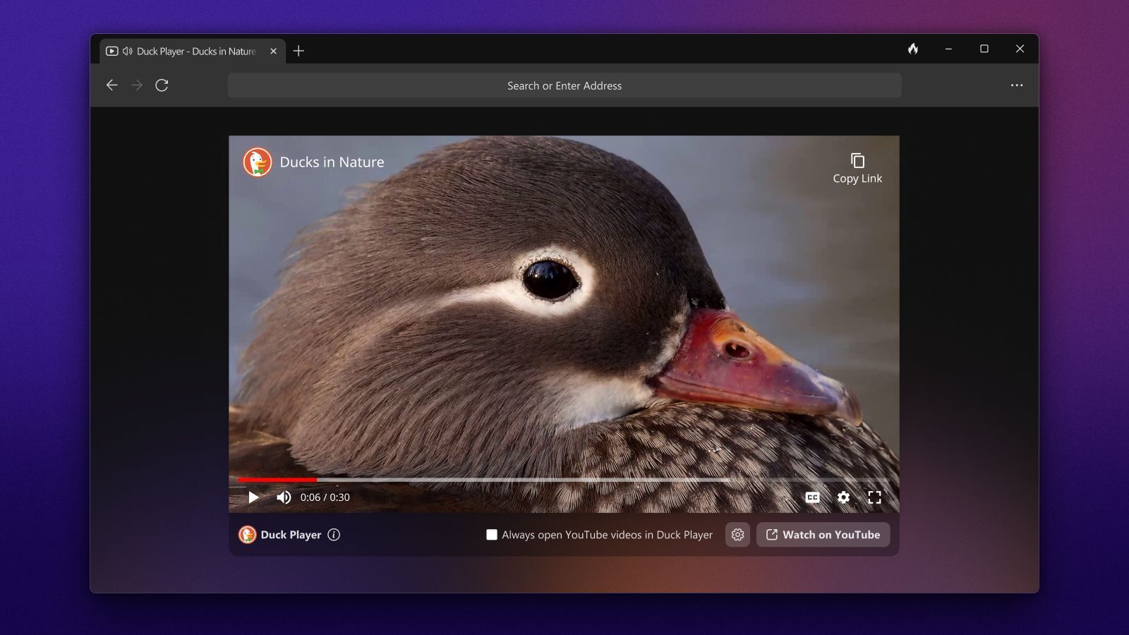 Navegador DuckDuckGo no Windows