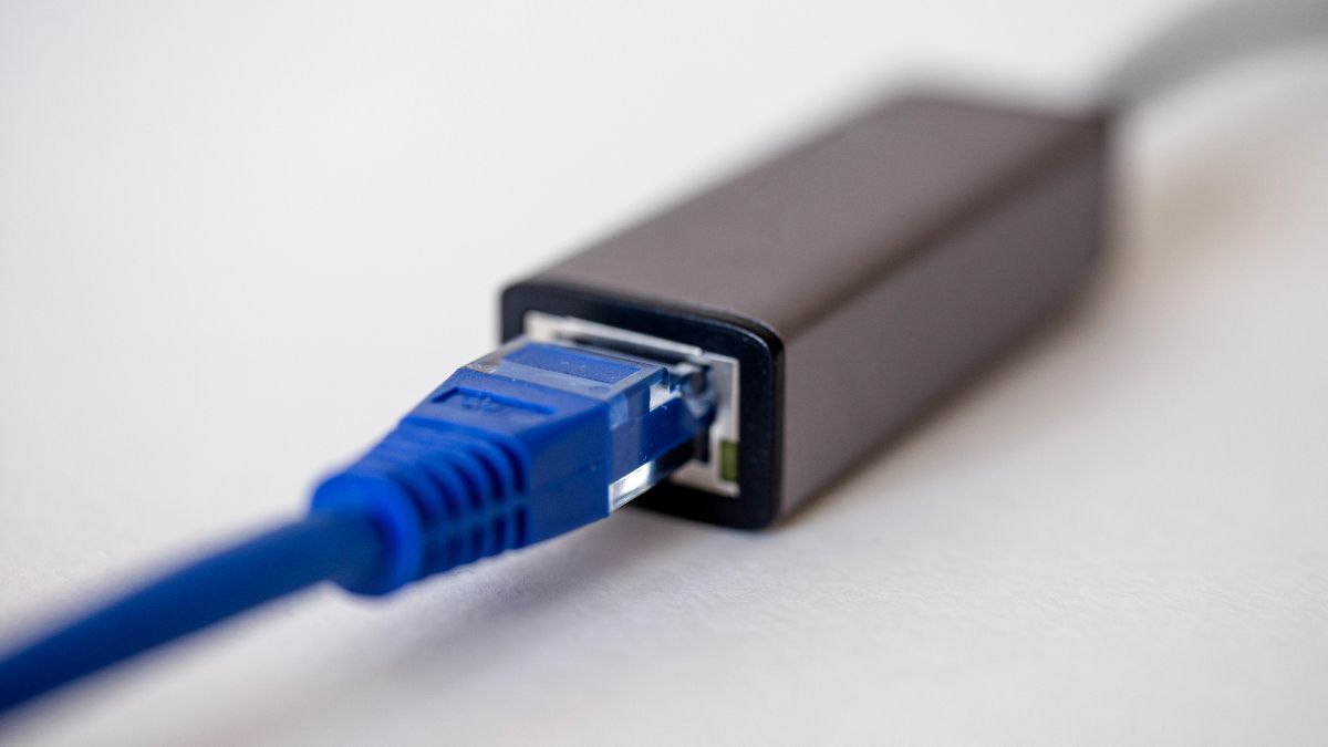 Cabo Ethernet dentro de um adaptador