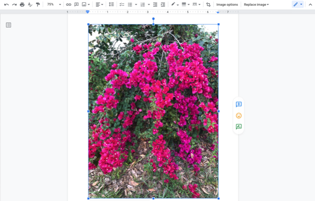 Imagem inserida no Google Docs