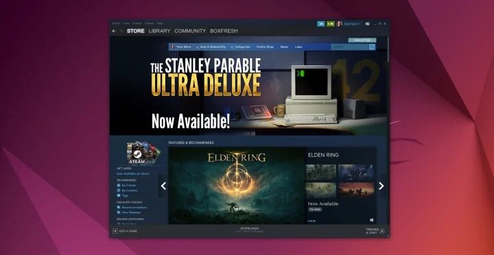 Captura de tela do Steam no Ubuntu