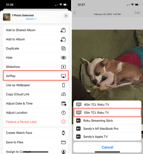 AirPlay na planilha de compartilhamento e Roku na lista