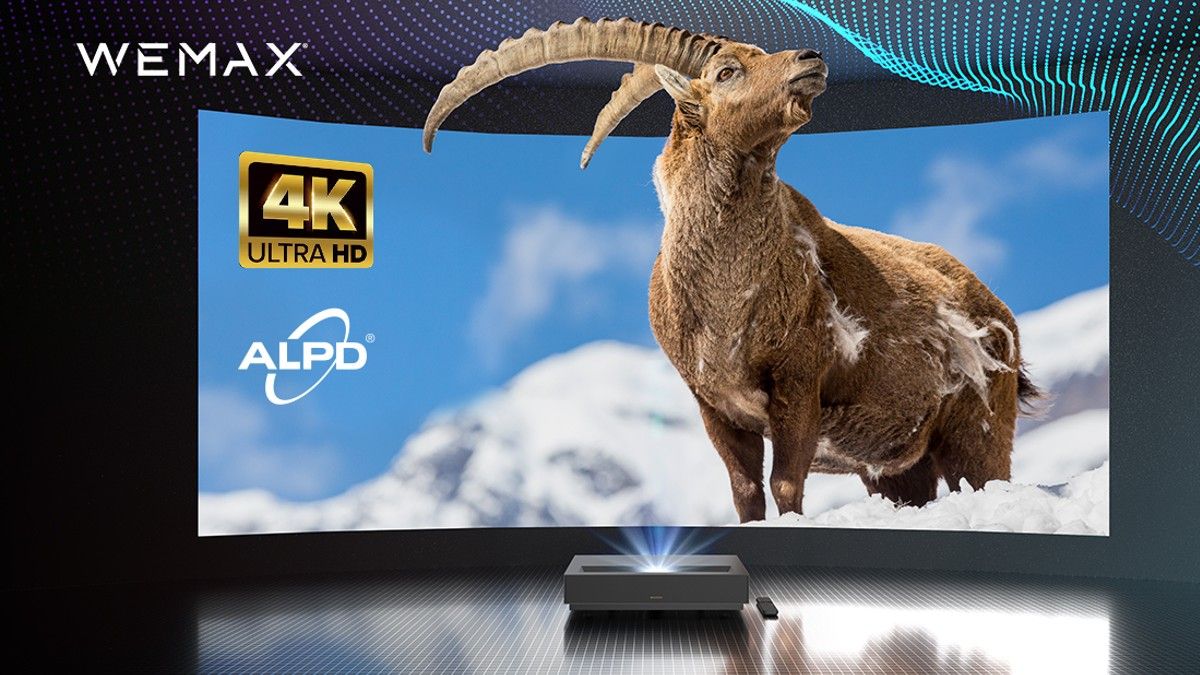 Projetor WEMAX Nova 4K UHD projetando a imagem de um íbex alpino